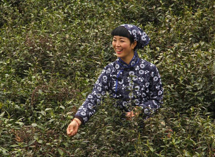 热门7